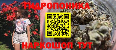 дмт Ефремов