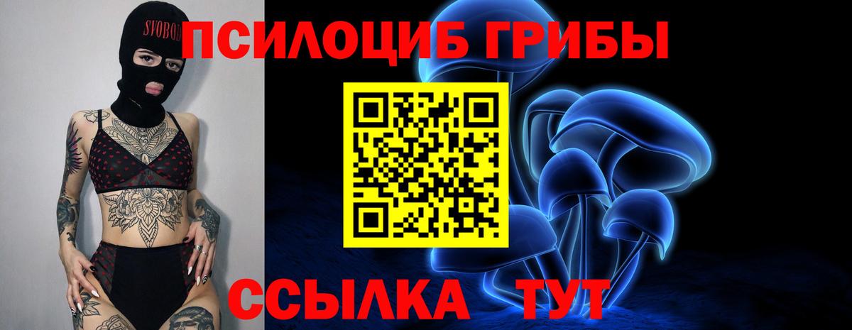 Муром  Галлюциногенные грибы ЛСД  Вход с VPN  Галлюциногенные грибы мицелий 